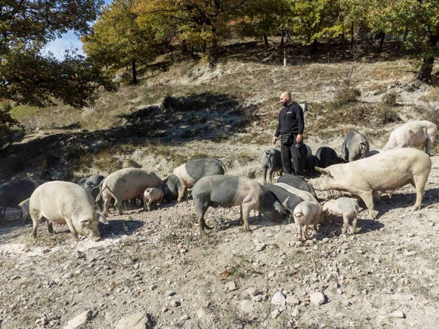 Il maiale nero: razza, territorio e identità