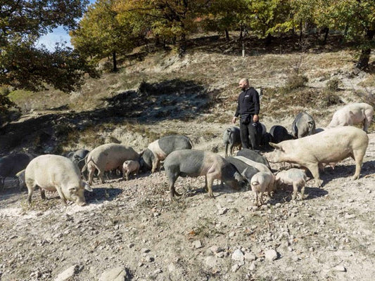 Il maiale nero: razza, territorio e identità