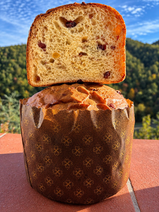 Il Panetrone artigianale - 750g