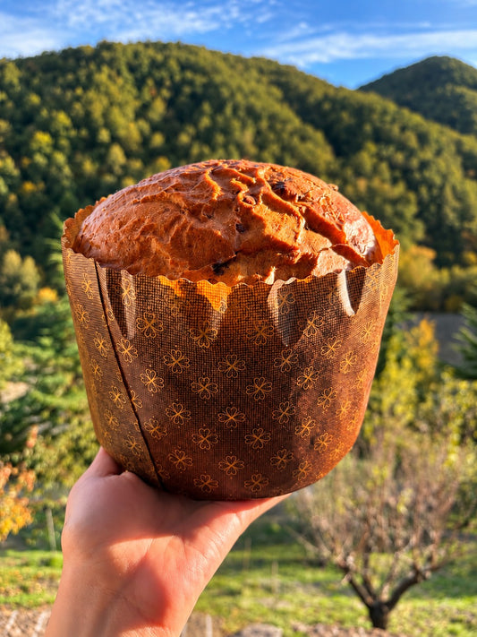 Il Panetrone artigianale - 750g